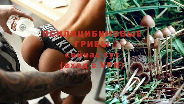 шишки Баксан